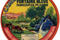 camembert-fontaien-bleu-1